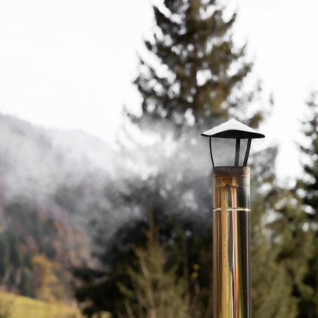 Chalet Al Maso Val Calamento Telve エクステリア 写真