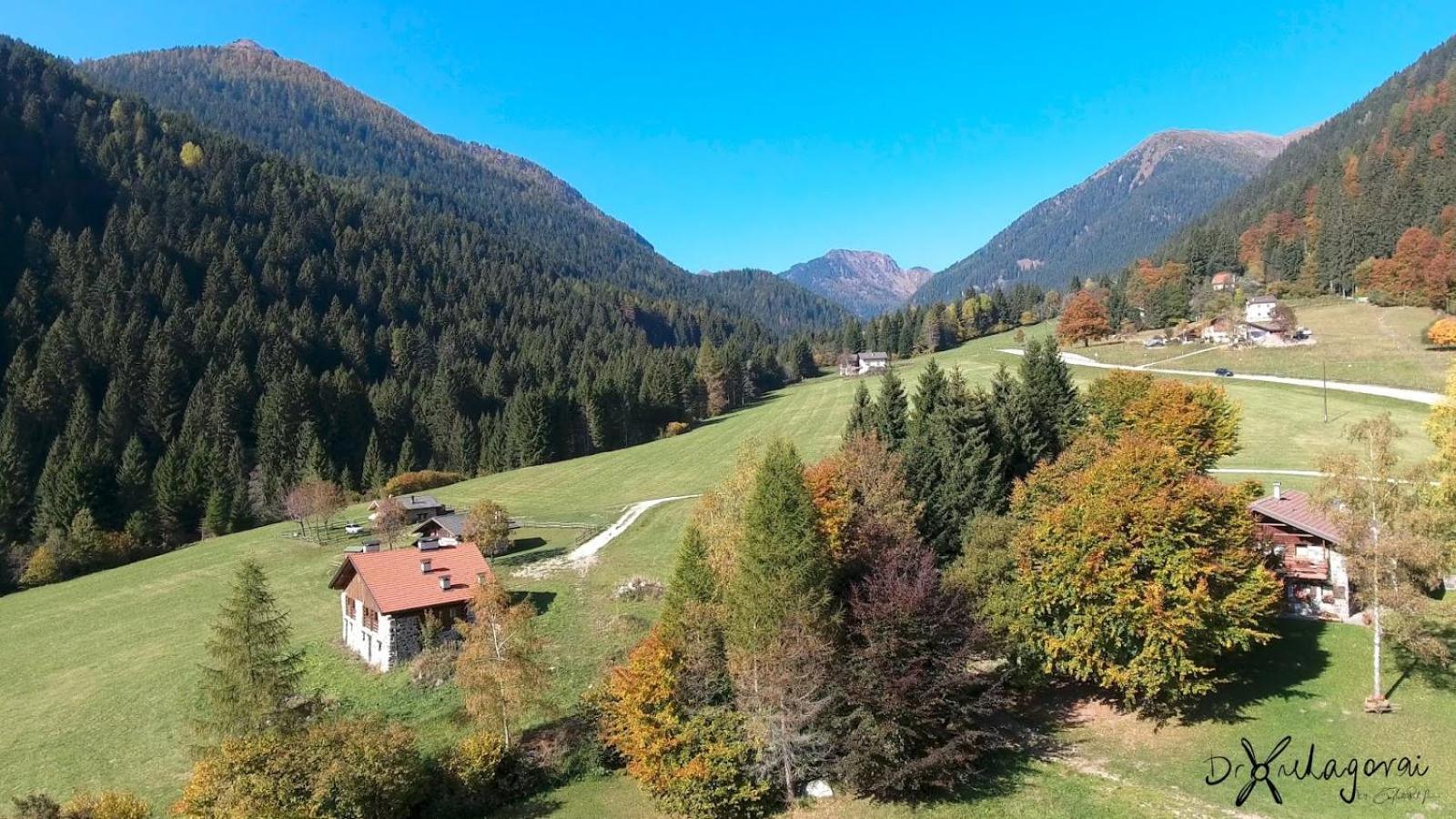 Chalet Al Maso Val Calamento Telve エクステリア 写真